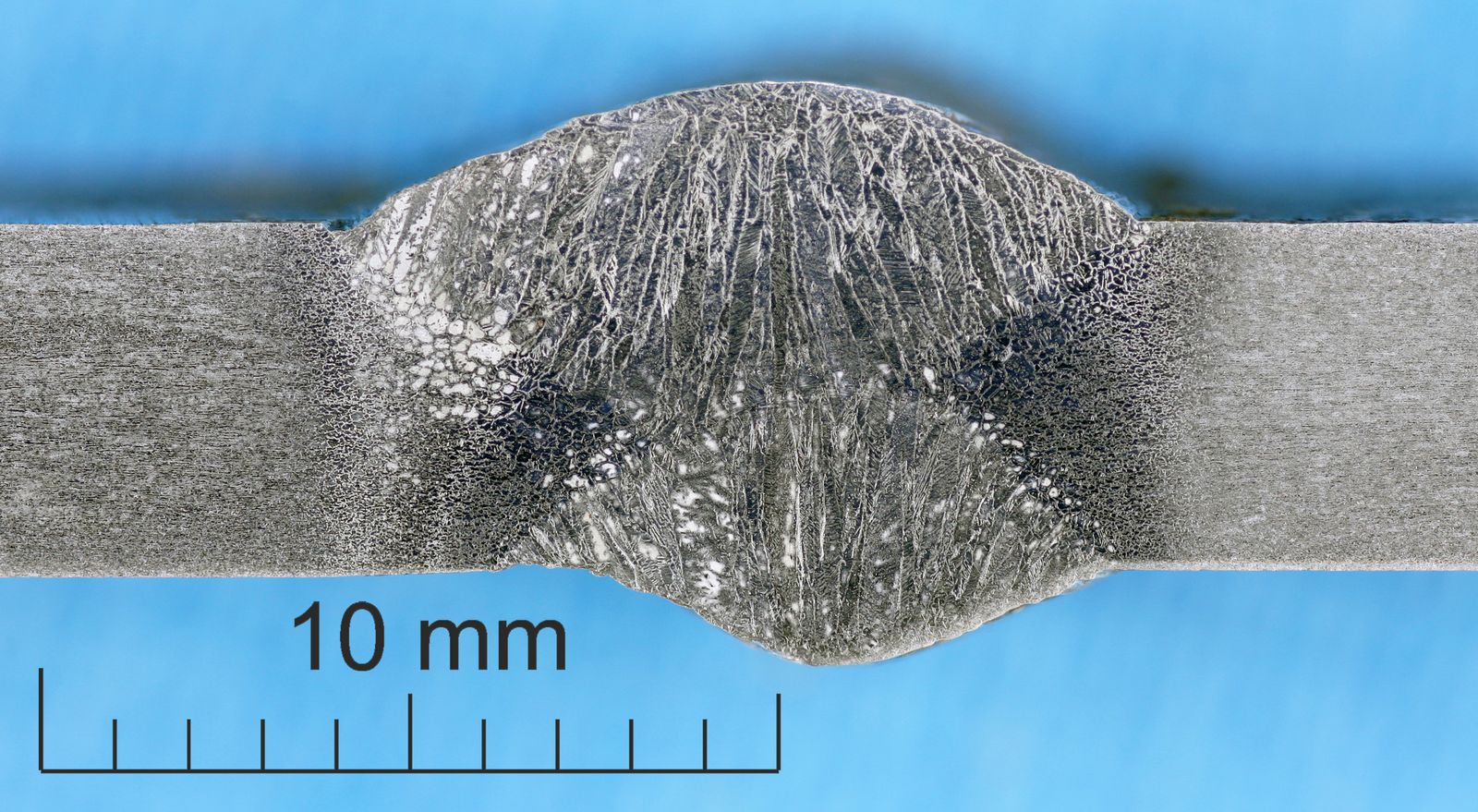 macro 38 27-10-2025 15_55_26_293