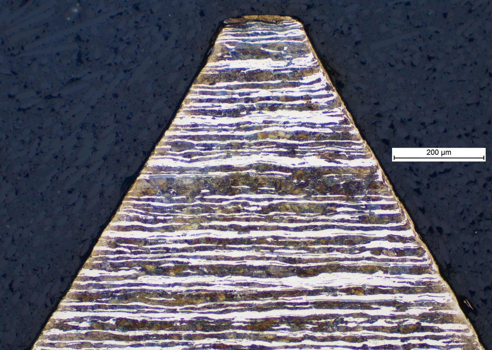 LEAD Technologies Inc. V1.01