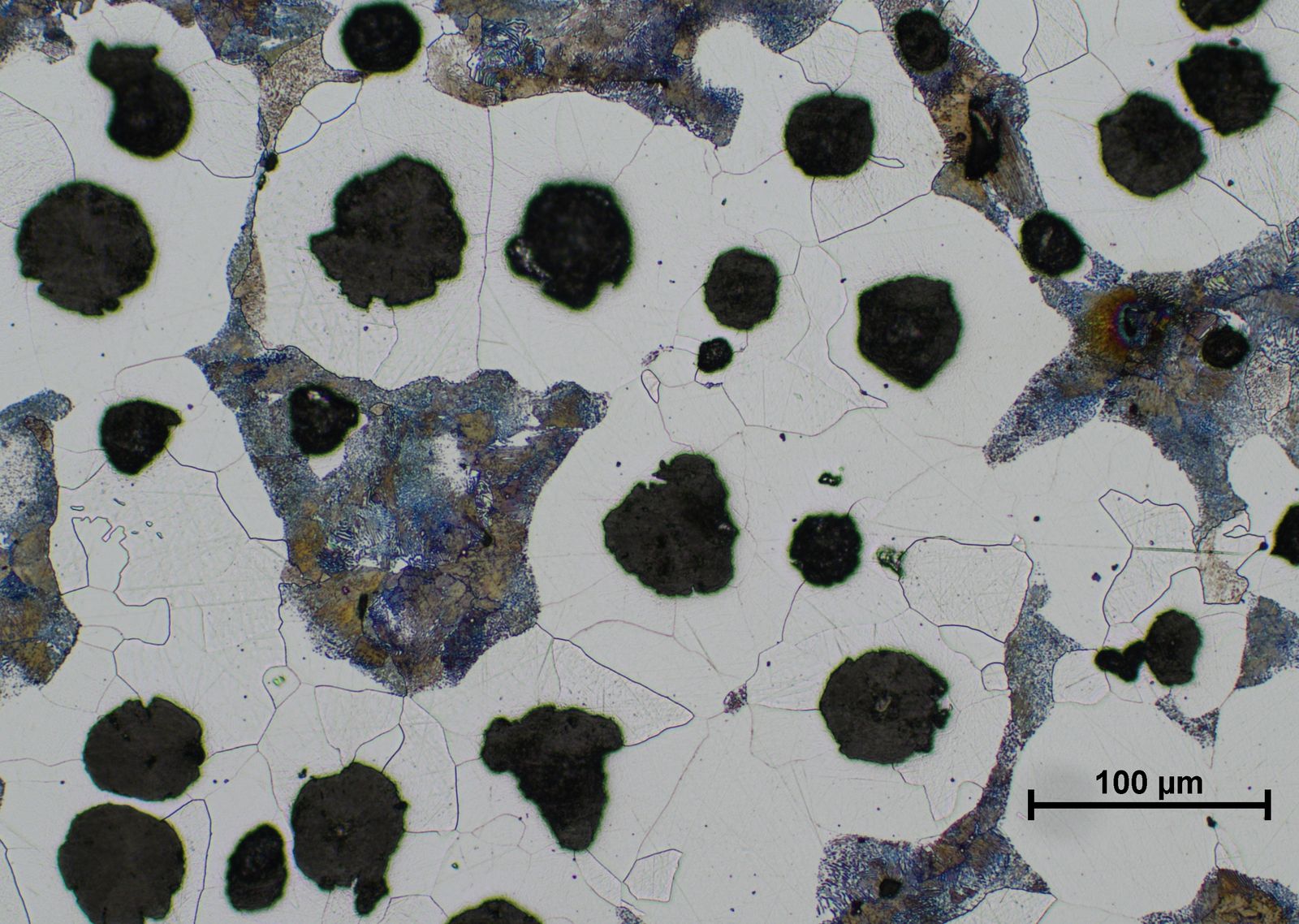 LEAD Technologies Inc. V1.01